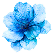 blue-flower